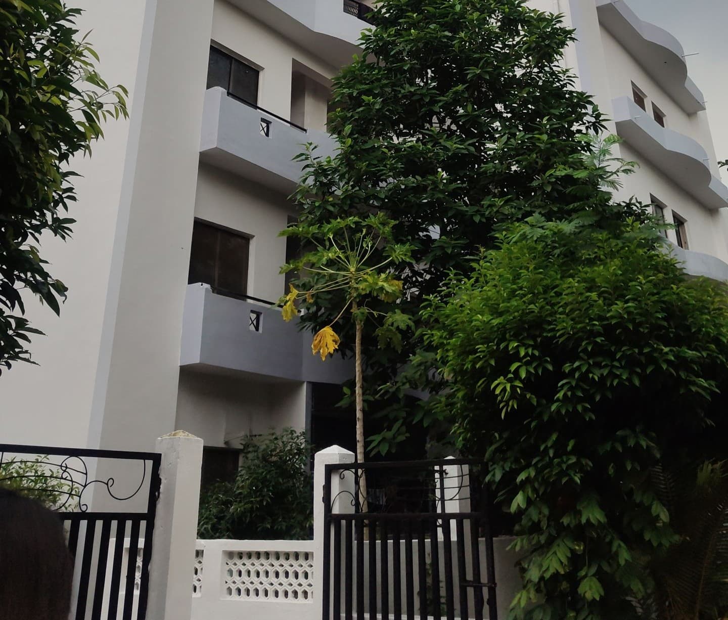 RCET Bhilai Campus photo 6